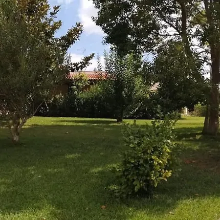 Agriturismo Fica Torta Couette-café *